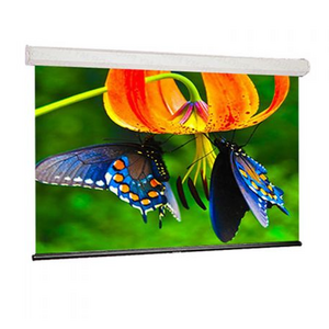 Экран для проектора Draper Luma 2 HDTV (9:16) 302/119 147x264 XH800E (HCG)