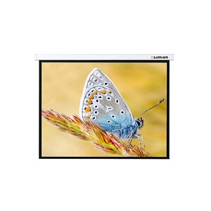 Экран для проектора Lumien Master Picture 213х213 см LMP-100105