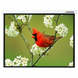 Экран для проектора Lumien Master Picture 154x240 см LMP-100134