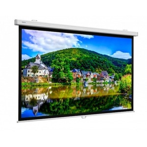 Экран для дома, настенно потолочный с электроприводом Lumien Master Control 191x300 см LMC-100132