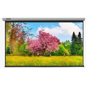 Экран для дома, настенно потолочный с электроприводом Lumien Master Control 191x300 см LMC-100132