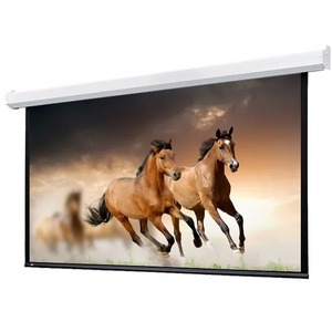 Экран для дома, настенно потолочный с электроприводом Lumien Master Control 191x300 см LMC-100132