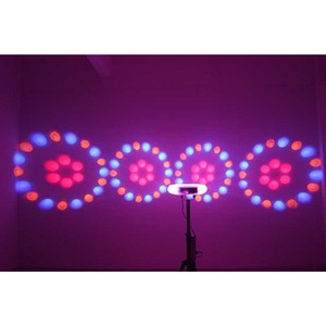 LED светоэффект Led Star Quad Moonflower