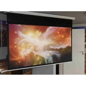 Экран для проектора Digis Space 300x300 MW 161 inch DSSM-1108