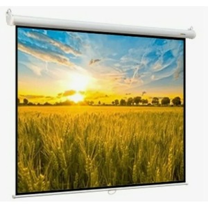 Экран для проектора Digis Optimal B 120x120 inch 63 1:1 MW DSOB-1101