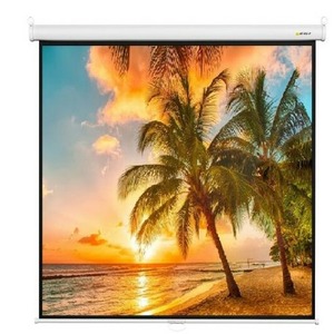 Экран для проектора Digis Optimal B 120x120 inch 63 1:1 MW DSOB-1101