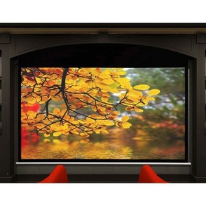 Экран для проектора Draper Accuscreens Electric NTSC (3:4) 244/8 (60x80) 152*203 MW