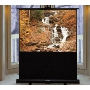 Экран для проектора Draper Accuscreens Electric NTSC (3:4) 213/7 (50x67) 127*170 MW