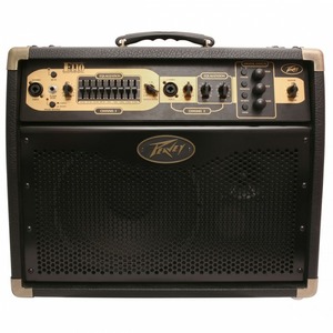 Комбоусилитель для акустической гитары PEAVEY Ecoustic E110