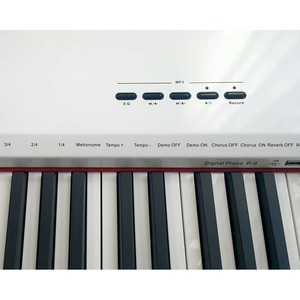 Пианино цифровое Sai Piano P-9WH