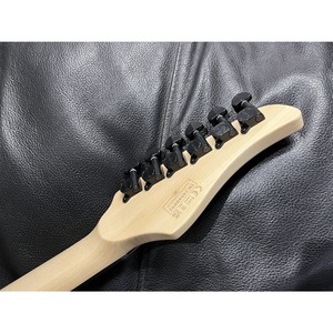 Электрогитара SCHECTER C-6 PRO ARB