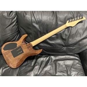 Электрогитара SCHECTER C-6 FR PRO AQB