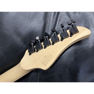 Электрогитара SCHECTER C-6 FR PRO AQB