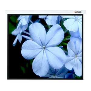 Экран для проектора Lumien Master Picture CSR 169x176см 77 Matte White LMP-100105CSR