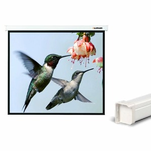 Экран для проектора Lumien Master Picture CSR 169x176см 77 Matte White LMP-100105CSR