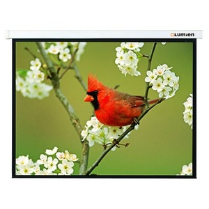 Экран для проектора Lumien Master Picture CSR 197x231см 100 Matte White LMP-100107CSR