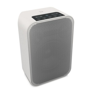 Портативная акустика Bluesound Pulse FLEX 2i White