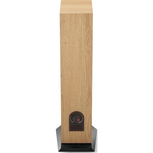 Напольная акустика Focal JMLab Chora 816 Light Wood