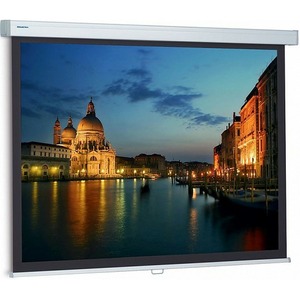 Экран для проектора Projecta 10200315 Proscreen CSR 154x240