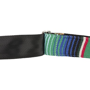 Ремень для гитары Fender 2 SERAPE STRAP GRN MULT