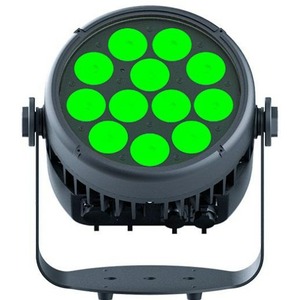 Прожектор PAR LED Stage4 REPAR 12x10FAU IP