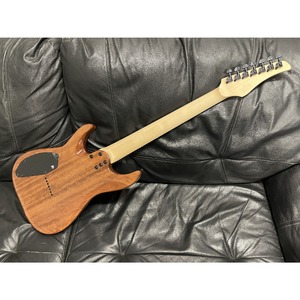 Электрогитара SCHECTER C-7 PRO CB