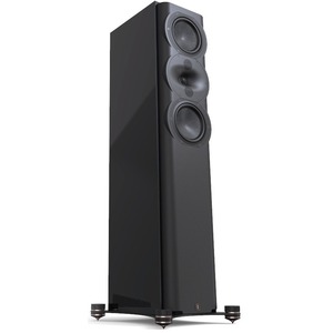 Напольная акустика Perlisten Audio R5t Black HG