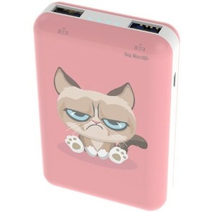 Внешний аккумулятор Ritmix RPB-10007 Grumpy Cat