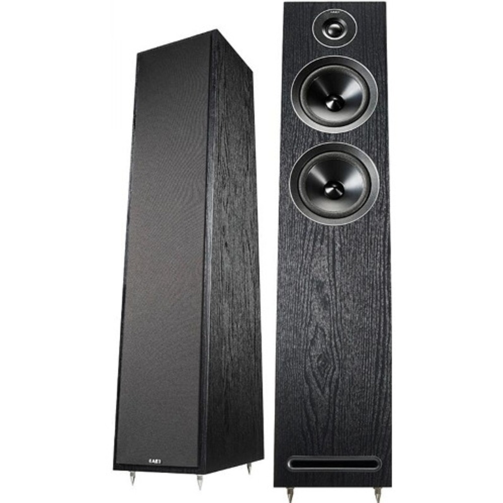 Напольная акустика Acoustic Energy AE103 Black