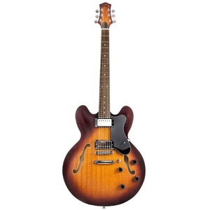 Гитара полуакустическая EART E-335 Brown Sunburst