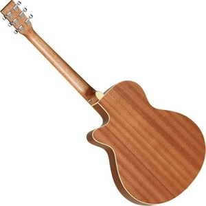 Электроакустическая гитара Tanglewood TW9 E