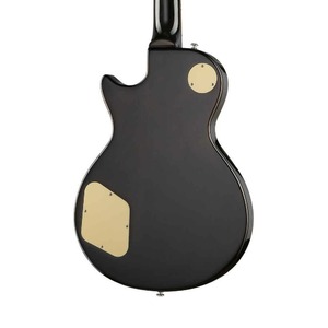 Электрогитара Les Paul Root Note LP501-BLK