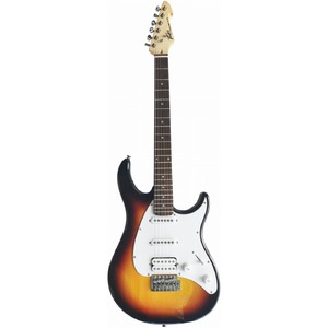 Электрогитара PEAVEY Raptor Plus SNB SSS