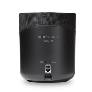 Портативная акустика Bluesound Pulse M Black