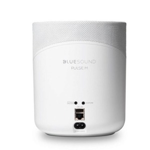 Портативная акустика Bluesound Pulse M White