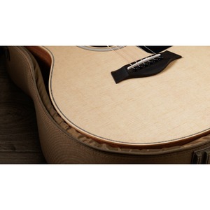 Акустическая гитара TAYLOR GS Mini Sapele